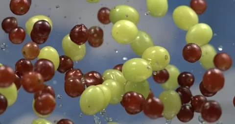 Grapes with leaves and water splashes floating in the air in super slow motion Stock Footage 344848651