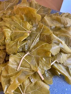 Grapes leaves Stock Photos
