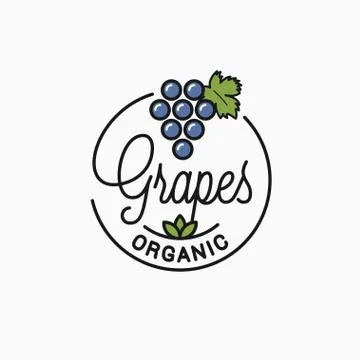 Grapes logo. Round linear logo of organic grapes Illustration