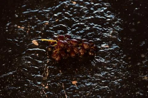 Grapes lying in water Stock Photos
