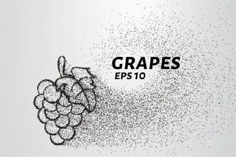 The grapes of particles. Grapes consists of small circles and dots. Vector .. Stock Illustration