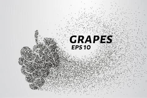 The grapes of particles. Grapes consists of small circles and dots. Vector .. Stock Illustration