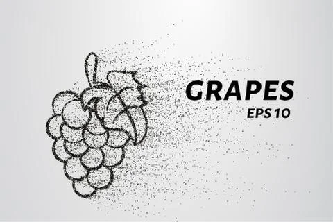 The grapes of particles. Grapes consists of small circles and dots. Vector .. Stock Illustration