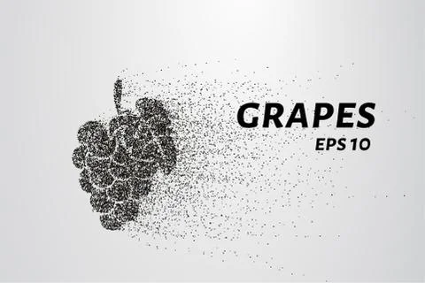 The grapes of particles. Grapes consists of small circles and dots. Vector .. Stock Illustration