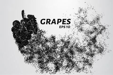 The grapes of particles. Grapes consists of small circles and dots. Vector il Stock Illustration