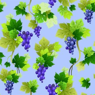 Grapes pattern on blue background Stock Illustration