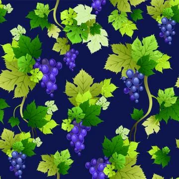 Grapes pattern on dark background Stock Illustration