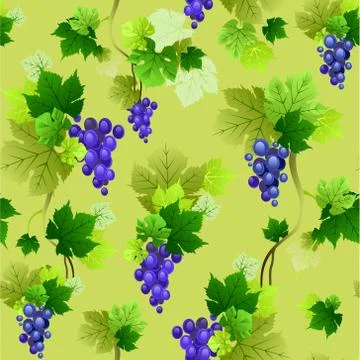 Grapes pattern on olive background Stock Illustration