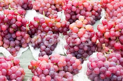 Grapes Stock Photos