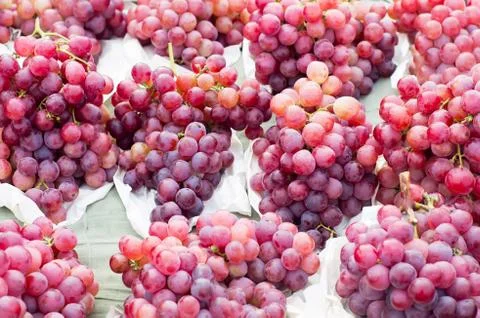 Grapes Stock Photos