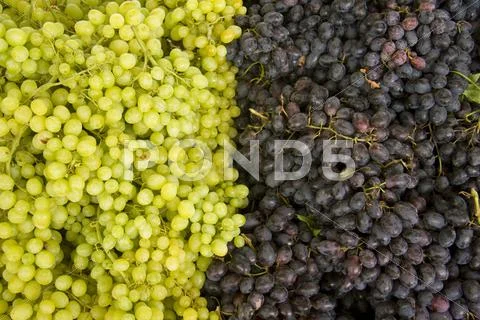 Grapes Stock Photos