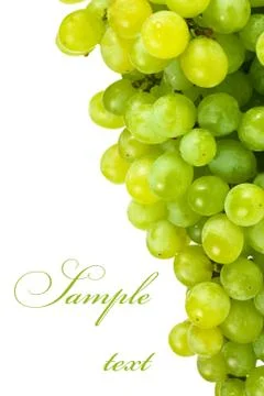 Grapes Stock Photos