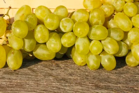 Grapes Stock Photos