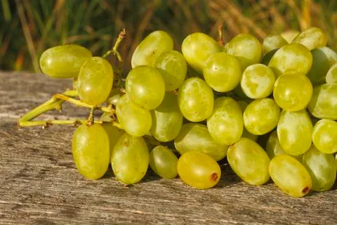 Grapes Stock Photos