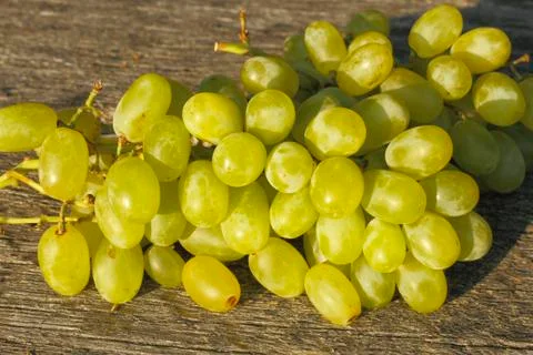 Grapes Stock Photos