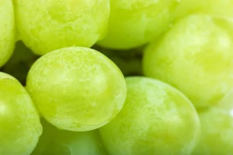 Grapes Stock Photos