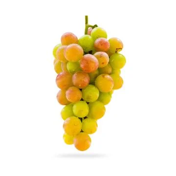 Grapes Stock Photos