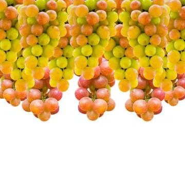 Grapes Stock Photos