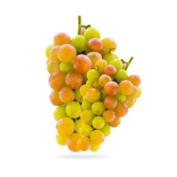 Grapes Stock Photos