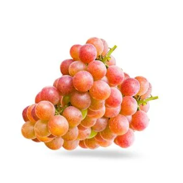 Grapes Stock Photos