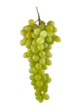 Grapes Stock Photos