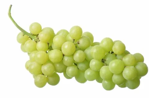Grapes Stock Photos