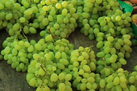 Grapes Stock Photos
