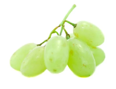 Grapes Stock Photos