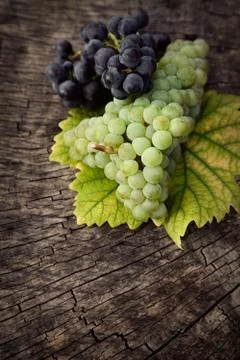 Grapes Stock Photos