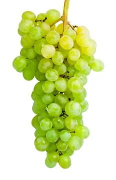 Grapes Stock Photos