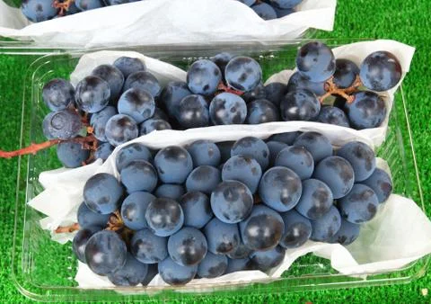 Grapes Stock Photos