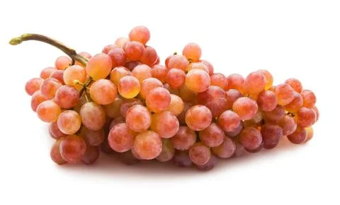 Grapes Stock Photos
