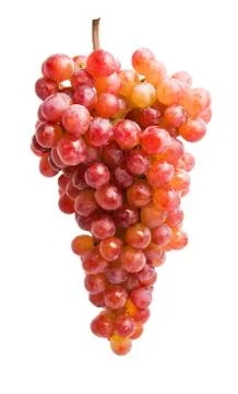 Grapes Stock Photos