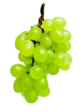 Grapes Stock Photos