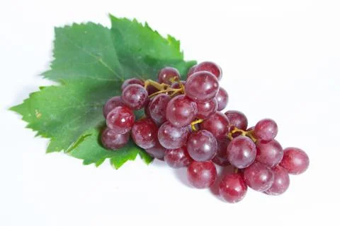 Grapes Stock Photos