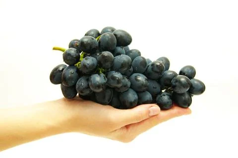 Grapes Stock-Fotos