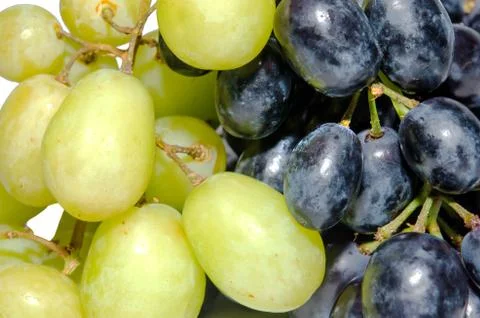 Grapes Stock Photos