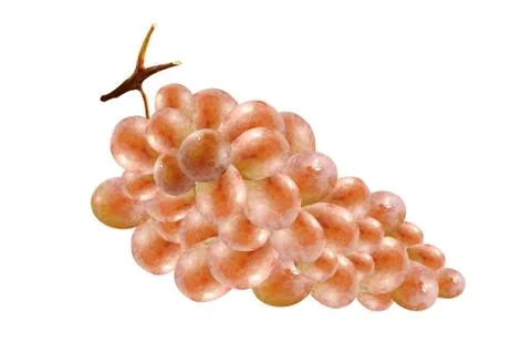Grapes 스톡 사진