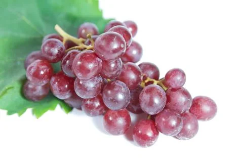 Grapes Stock Photos