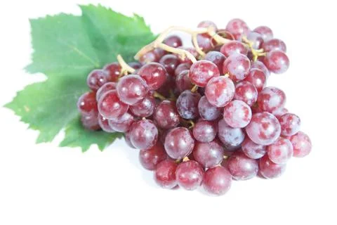 Grapes Stock Photos