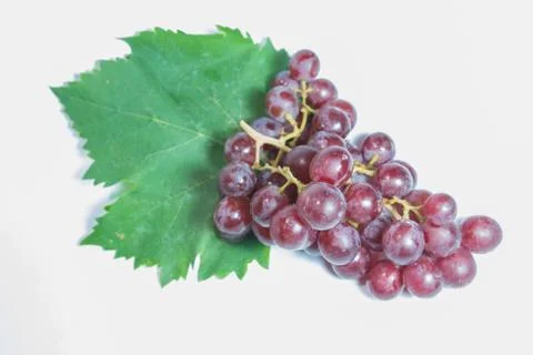 Grapes Stock Photos