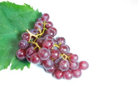 Grapes Stock Photos