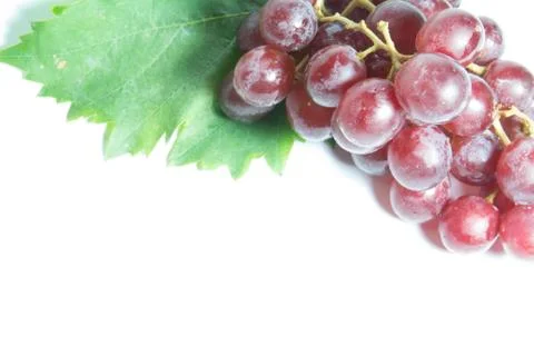Grapes Stock Photos