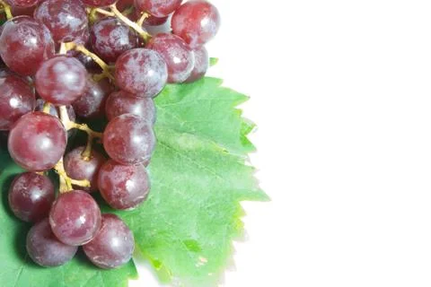 Grapes Stock Photos