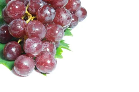 Grapes Stock Photos