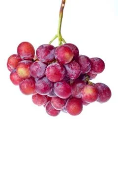 Grapes Stock Photos