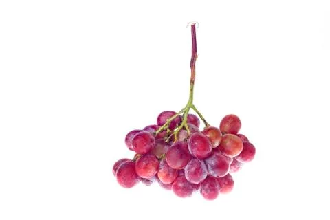 Grapes Stock Photos