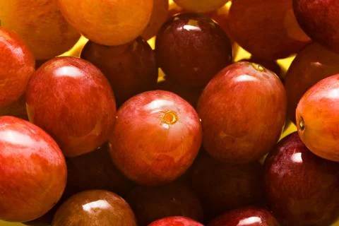 Grapes Stock Photos