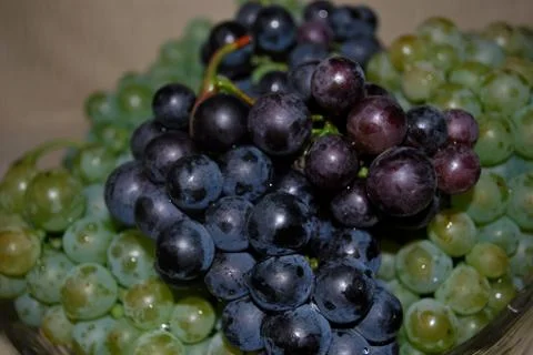 Grapes Foto stock