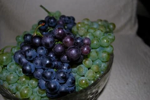 Grapes Stock Photos